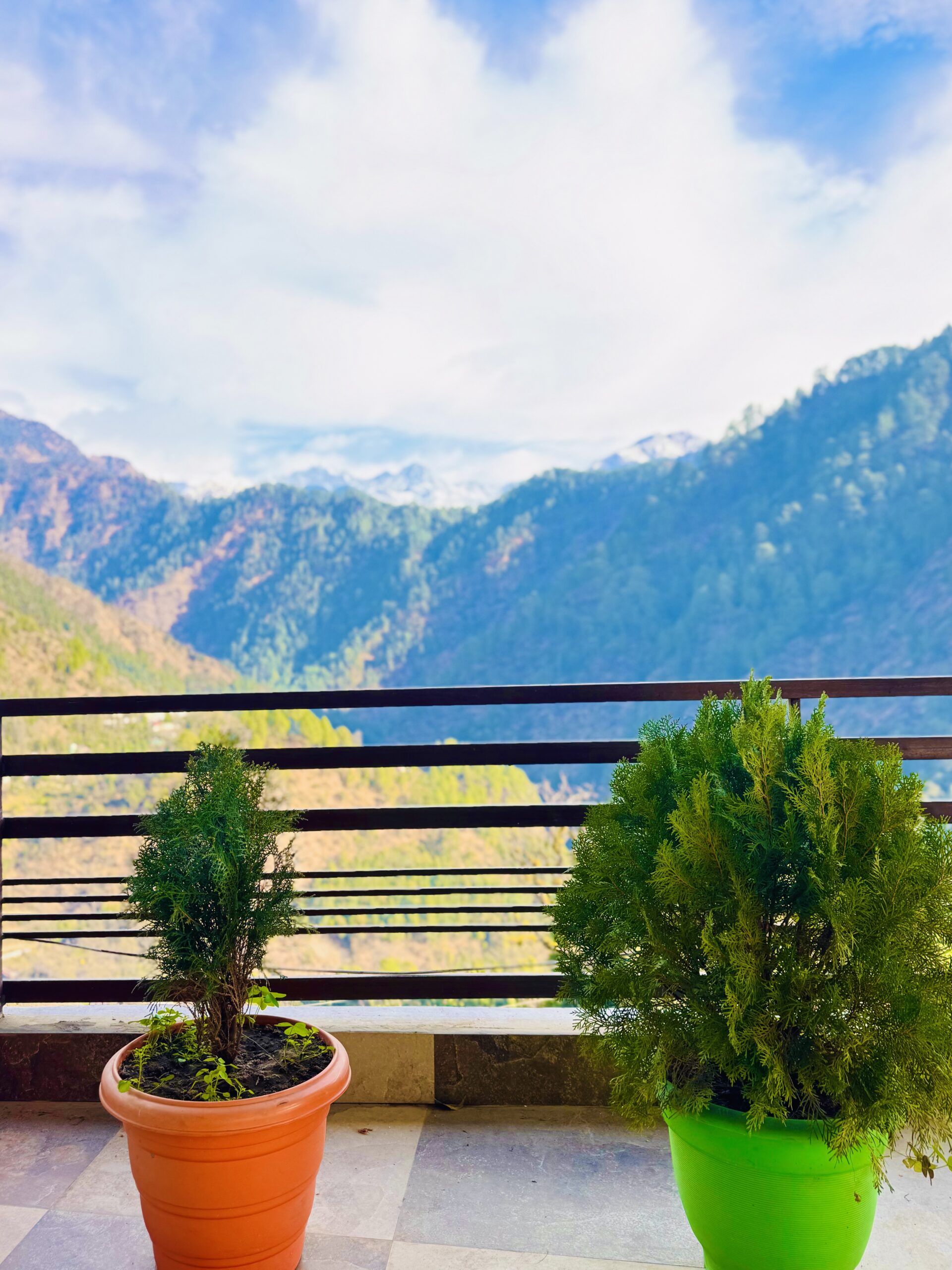 photo 16 02 25, 9 19 45 am