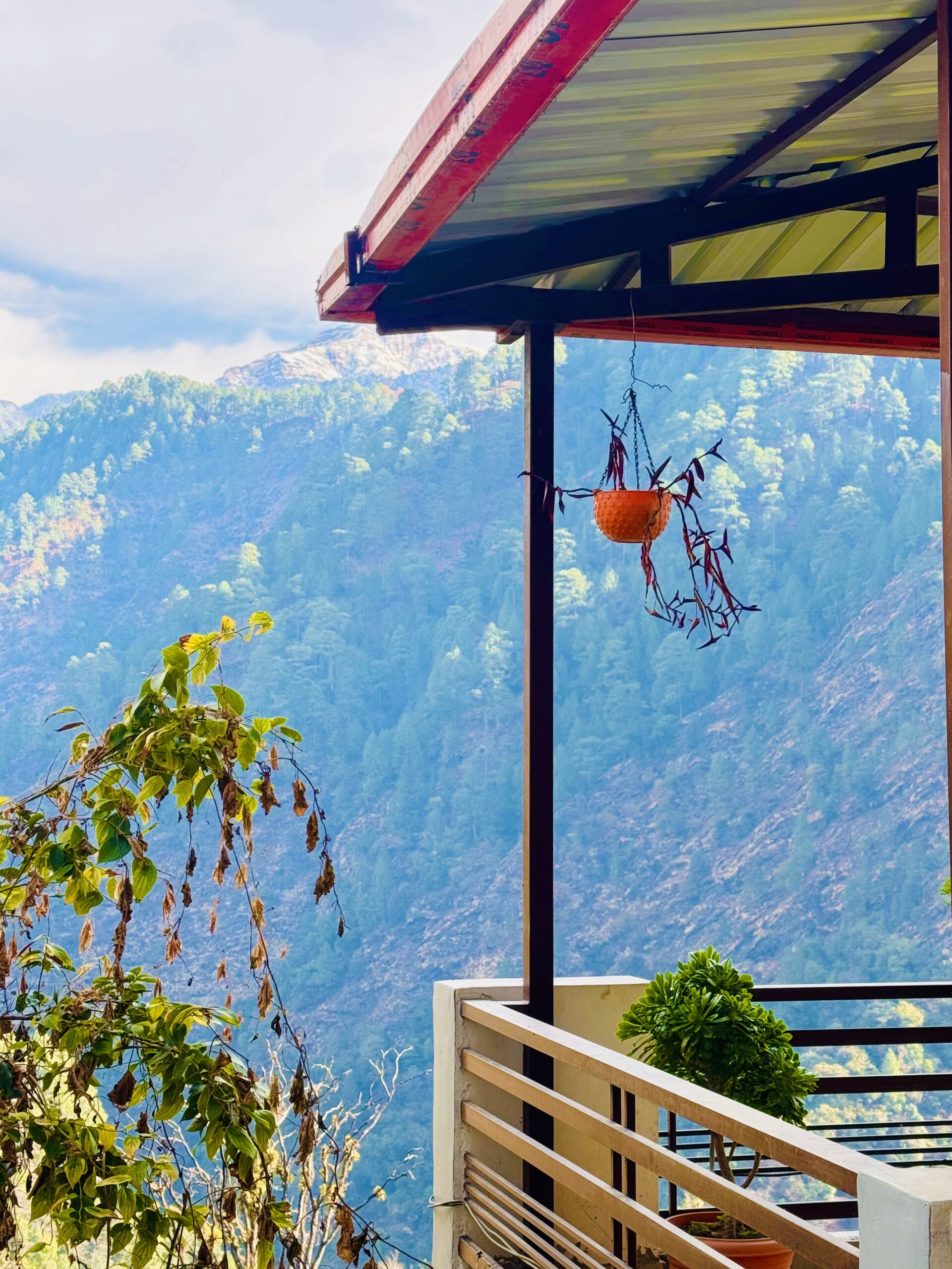 photo 16 02 25, 9 22 51 am