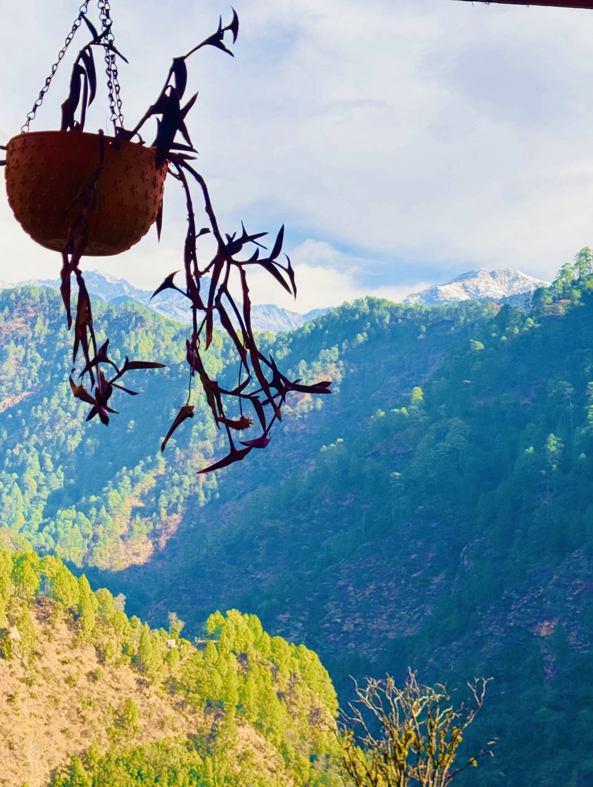 photo 16 02 25, 9 23 21 am