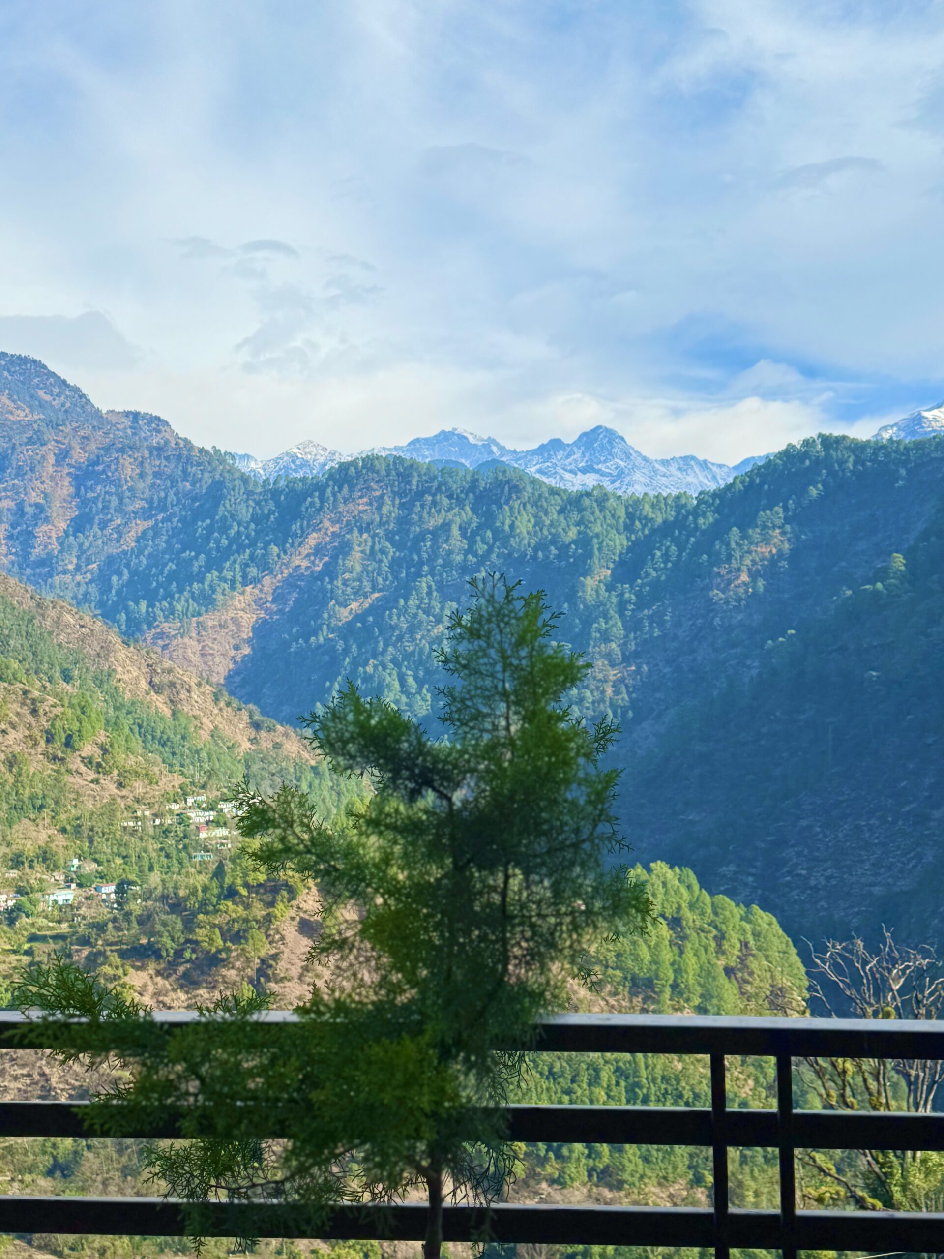 photo 16 02 25, 9 23 35 am