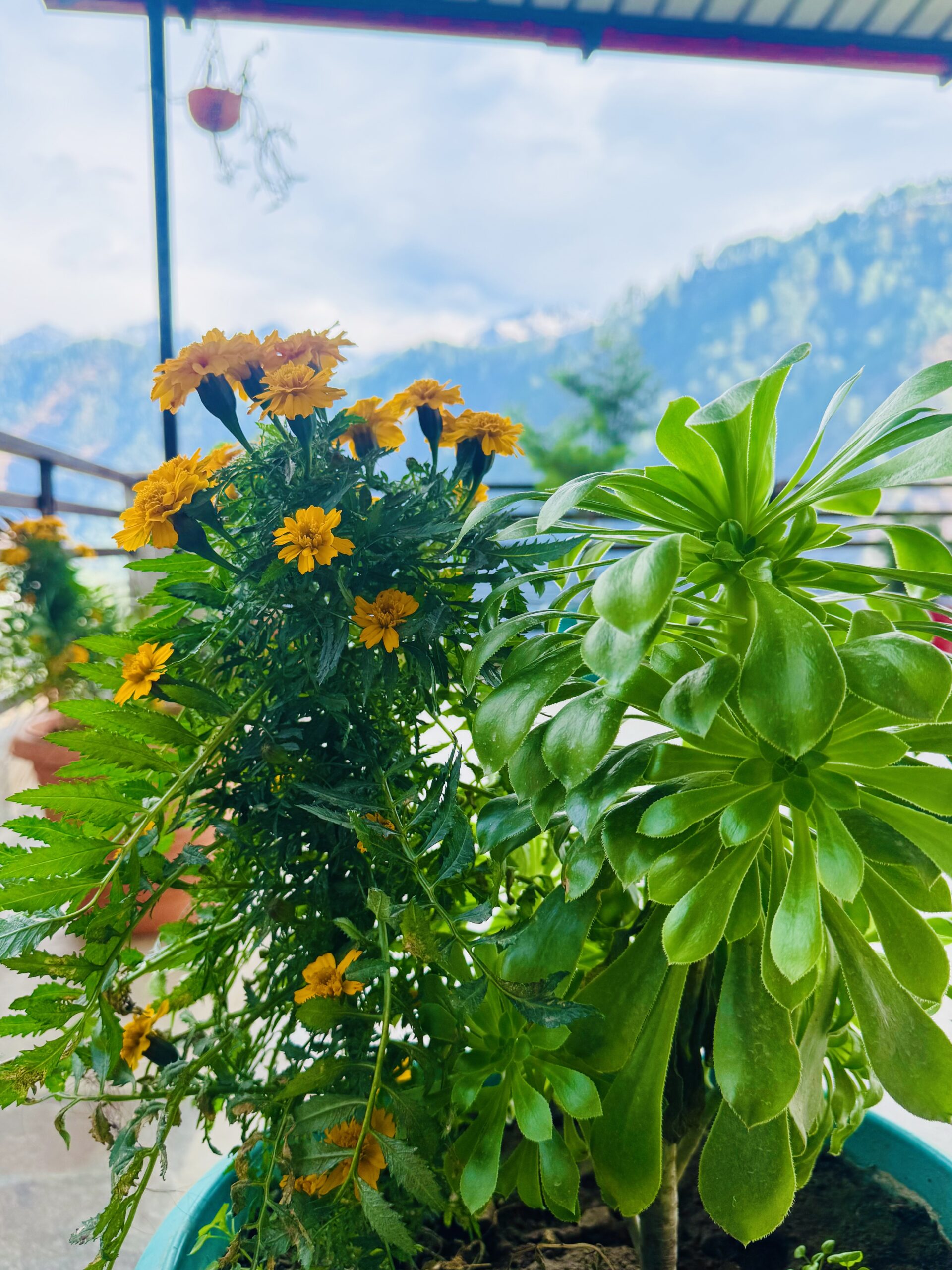 photo 16 02 25, 9 24 32 am